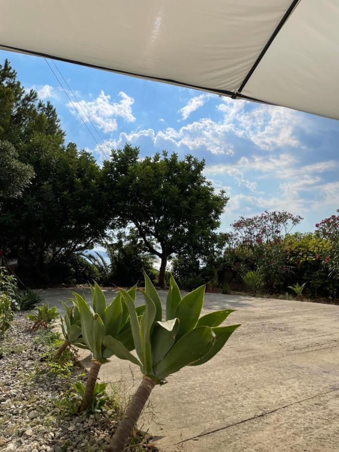 Willa Casa Vacanze Piedigrotta Pizzo  Zewnętrze zdjęcie