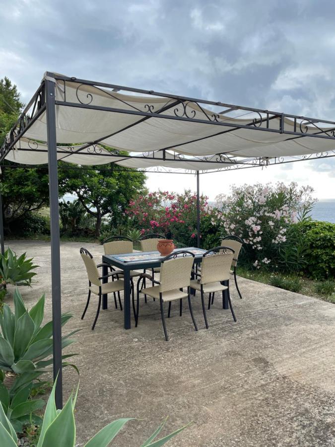 Willa Casa Vacanze Piedigrotta Pizzo  Zewnętrze zdjęcie